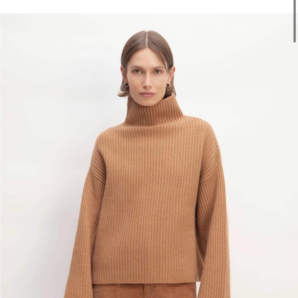 Everlane Marino Ribbed Turtleneck Sweater - Tan